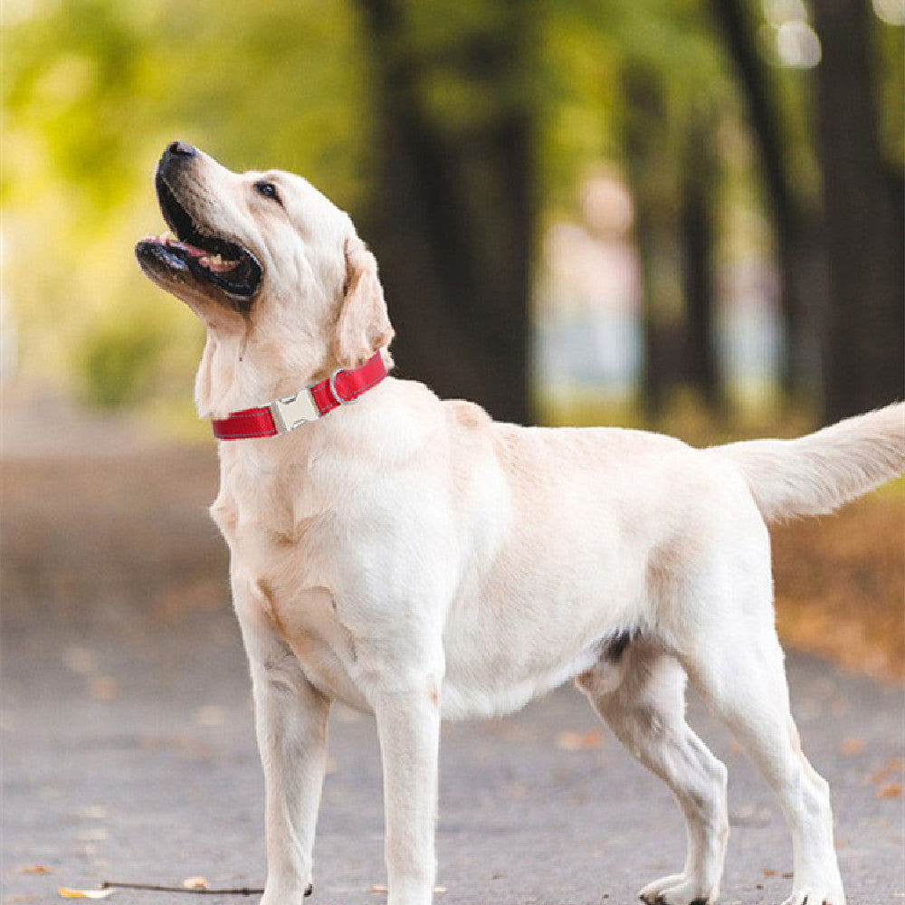 Shiny Reflective Nylon Collar for Safe Night Walks