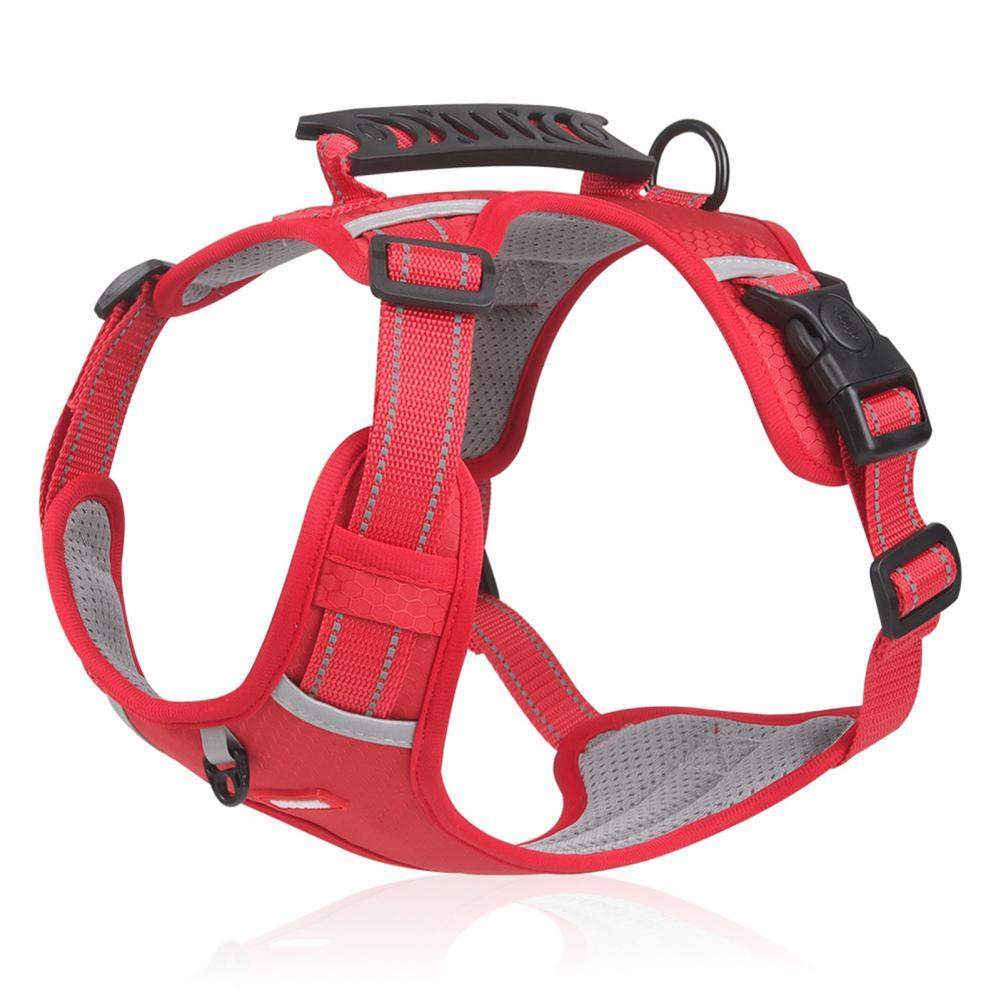 Durable No-Pull Harness for Outdoor Adventures