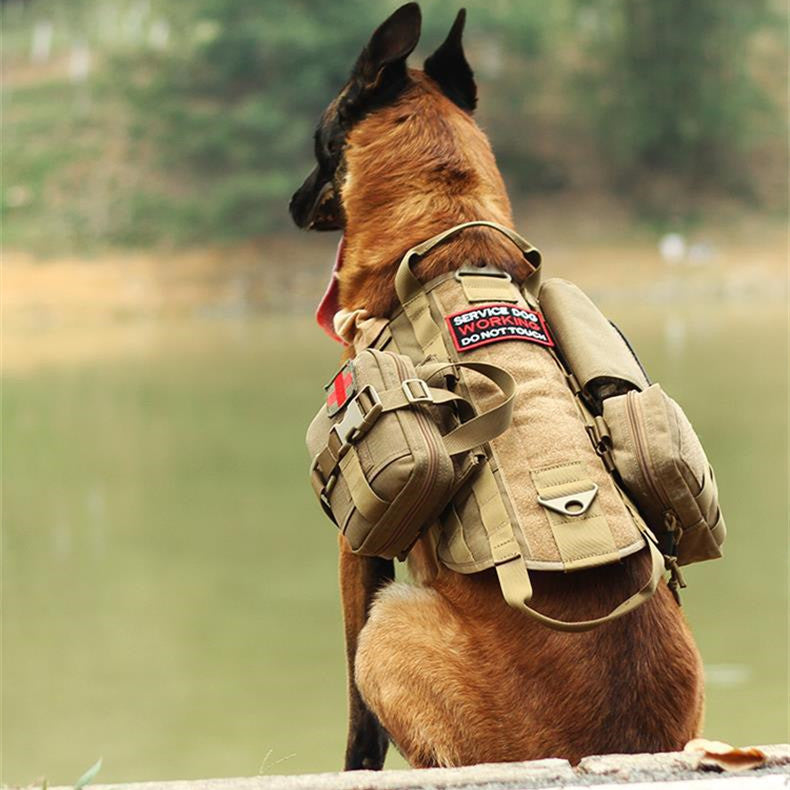 Adventure-Ready Tactical Dog Harness with MOLLE System!