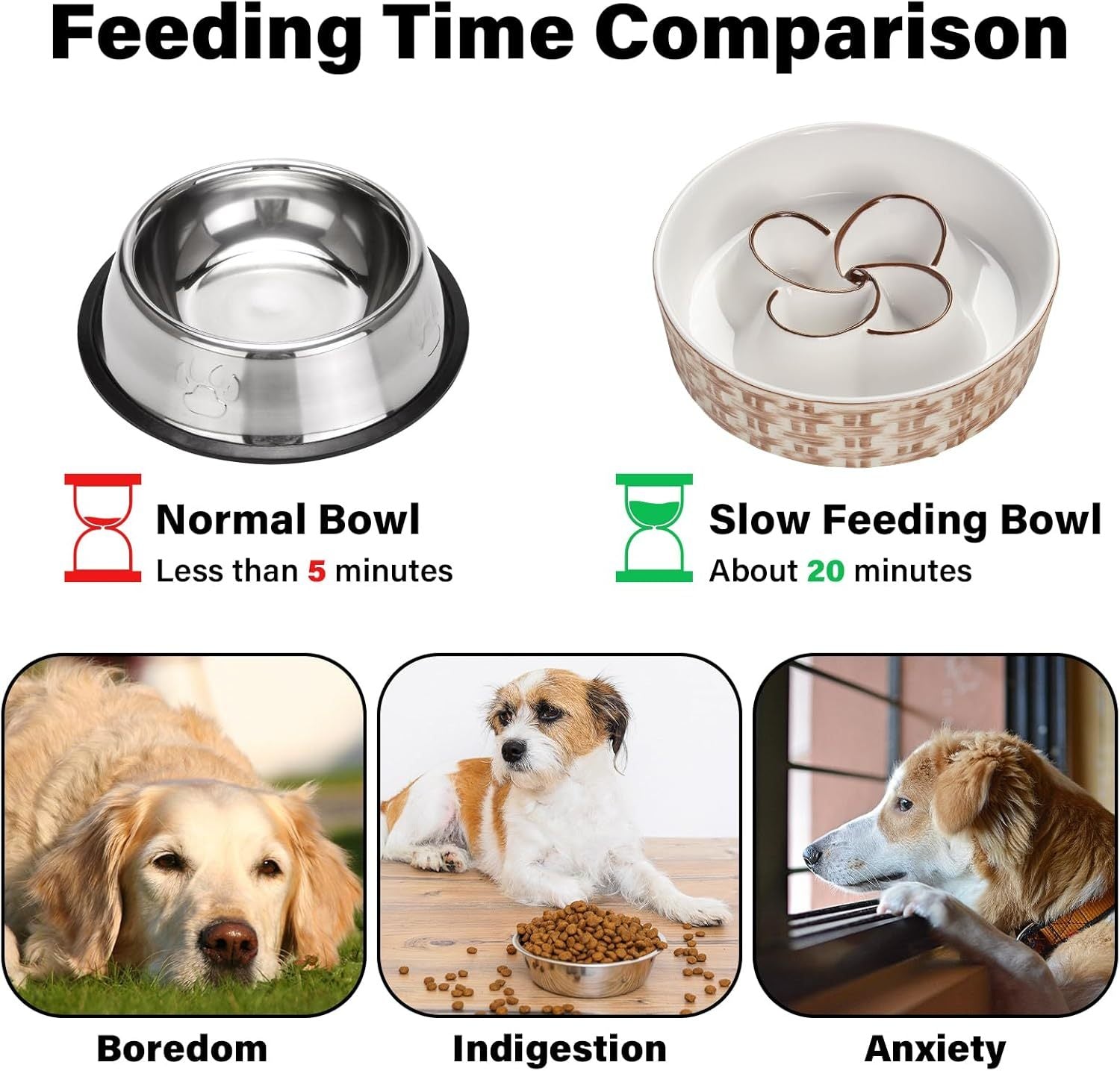 Gentle Slow Bowl for Healthy Pup Dinners
