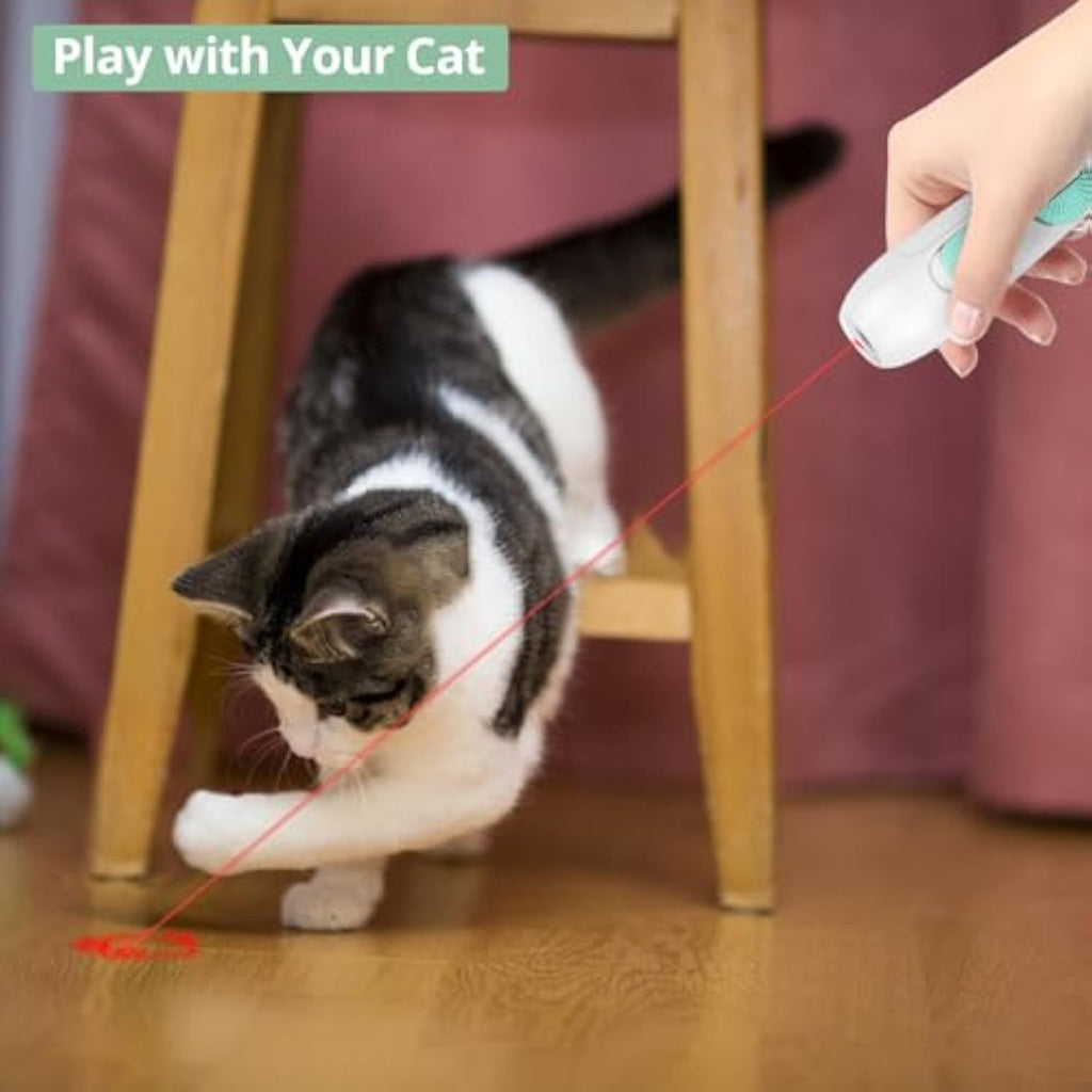 Rechargeable Cat Laser Wand for Endless Fun