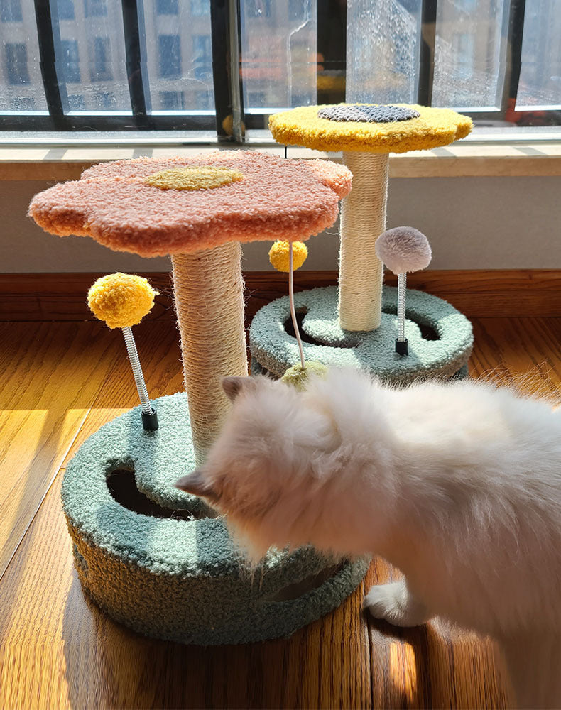 Purrfect Scratching Board for Happy Cat Claws