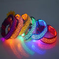 Leopard Print LED Collar – Safety with Flair