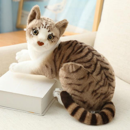 Adorable Plush Kitties for Endless Cuddles
