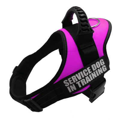 Breathable No-Pull Harness for All Sizes