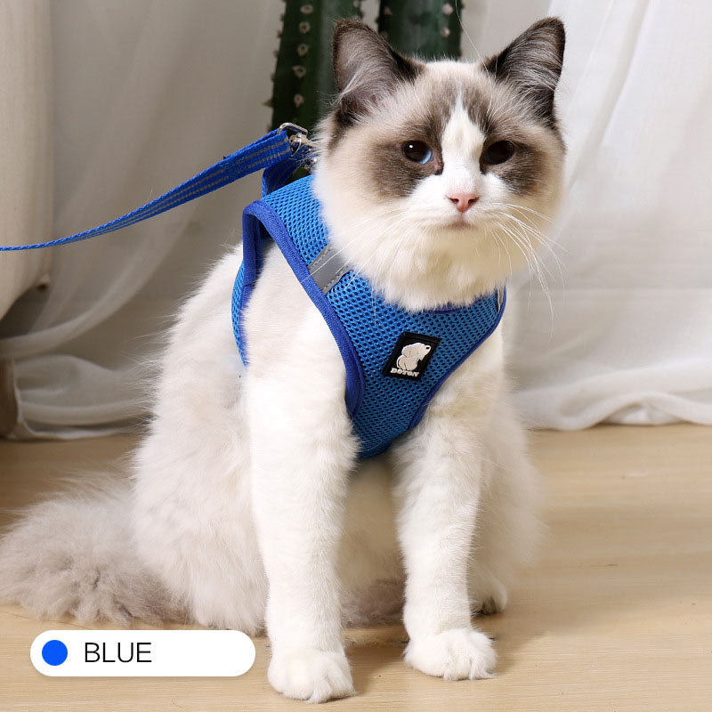 Paw-some Grip: Walk Your Kitty Scratch-Free