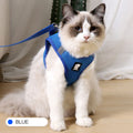 Paw-some Grip: Walk Your Kitty Scratch-Free