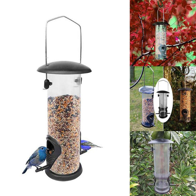 Swing & Snack: Your Birds' New Buddy