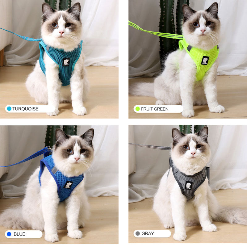 Paw-some Grip: Walk Your Kitty Scratch-Free