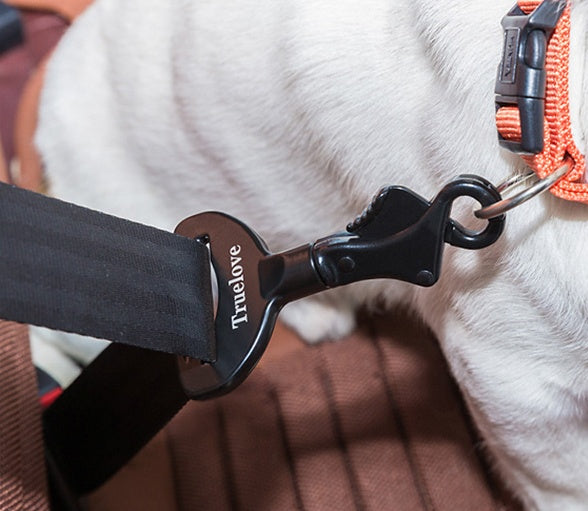 Ultimate Pet Car Safety Buckle: Travel with Confidence