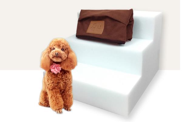 Gentle Stair Fun for Lovable Pets