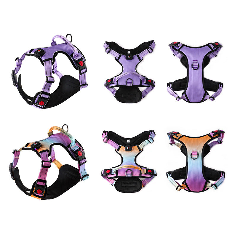 Bright LED Chest Strap – Your Pet's Nighttime Superpower