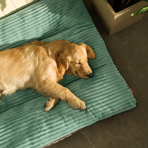 Cozy All-Season Washable Kennel for Your Pet