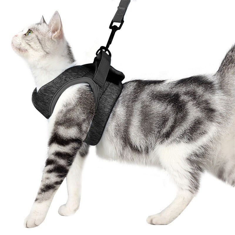 Cozy Chest Harness: Safe Leash Walks for Your Furry Friend