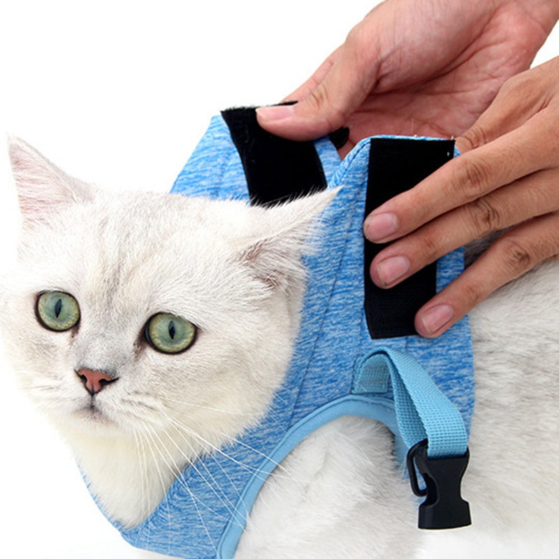 Cozy Chest Harness: Safe Leash Walks for Your Furry Friend