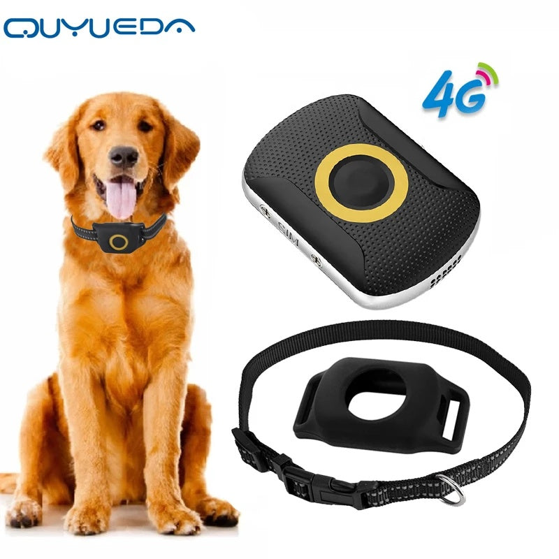 Friendly GPS Tracker for All Loved Pets