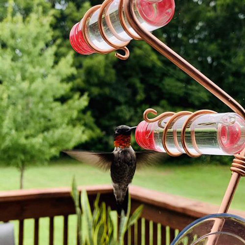Charming Suction Cup Hummingbird Feeder – Easy Clean Garden Joy