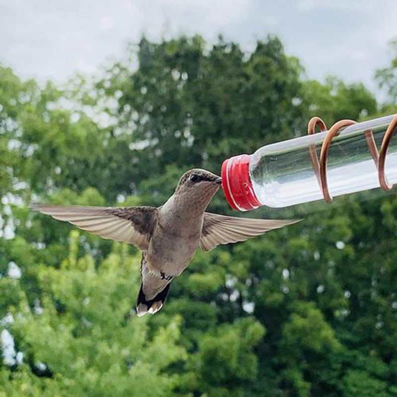Charming Suction Cup Hummingbird Feeder – Easy Clean Garden Joy