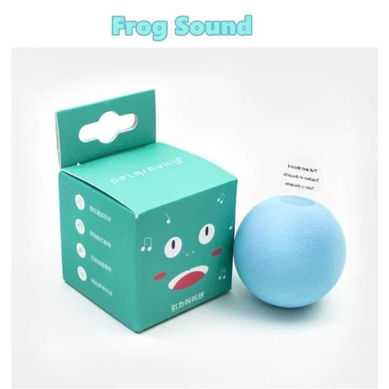 Fun Interactive Cat Toy Ball with Catnip Magic