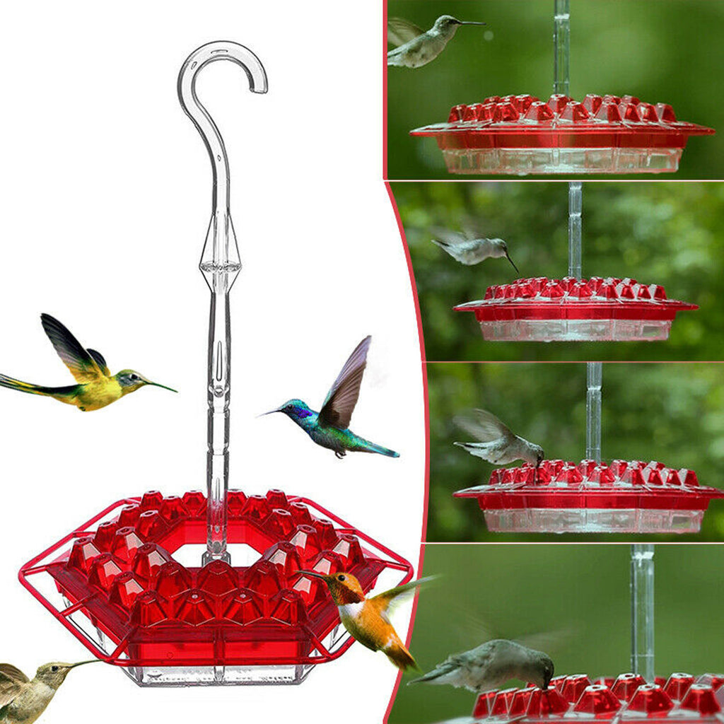 Hex Flower Magic: Attract Birds with Easy Charm