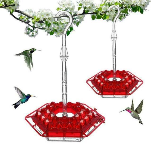 Hex Flower Magic: Attract Birds with Easy Charm