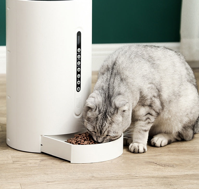 Gentle Smart Pet Feeder for Easy Care