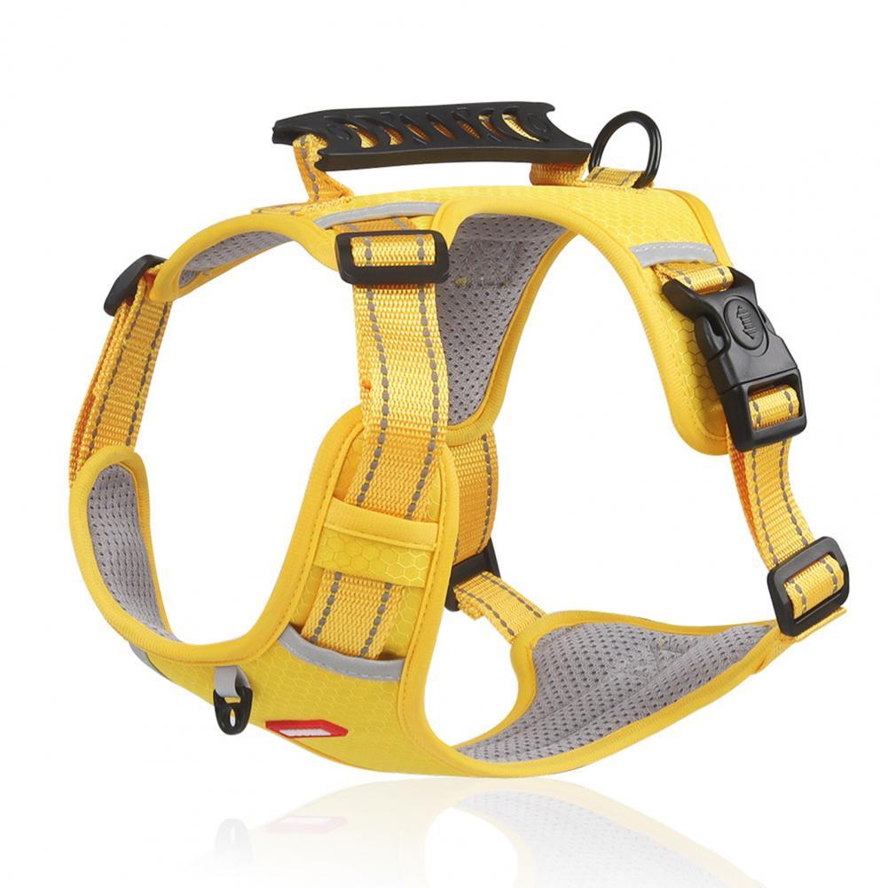 Durable No-Pull Harness for Outdoor Adventures