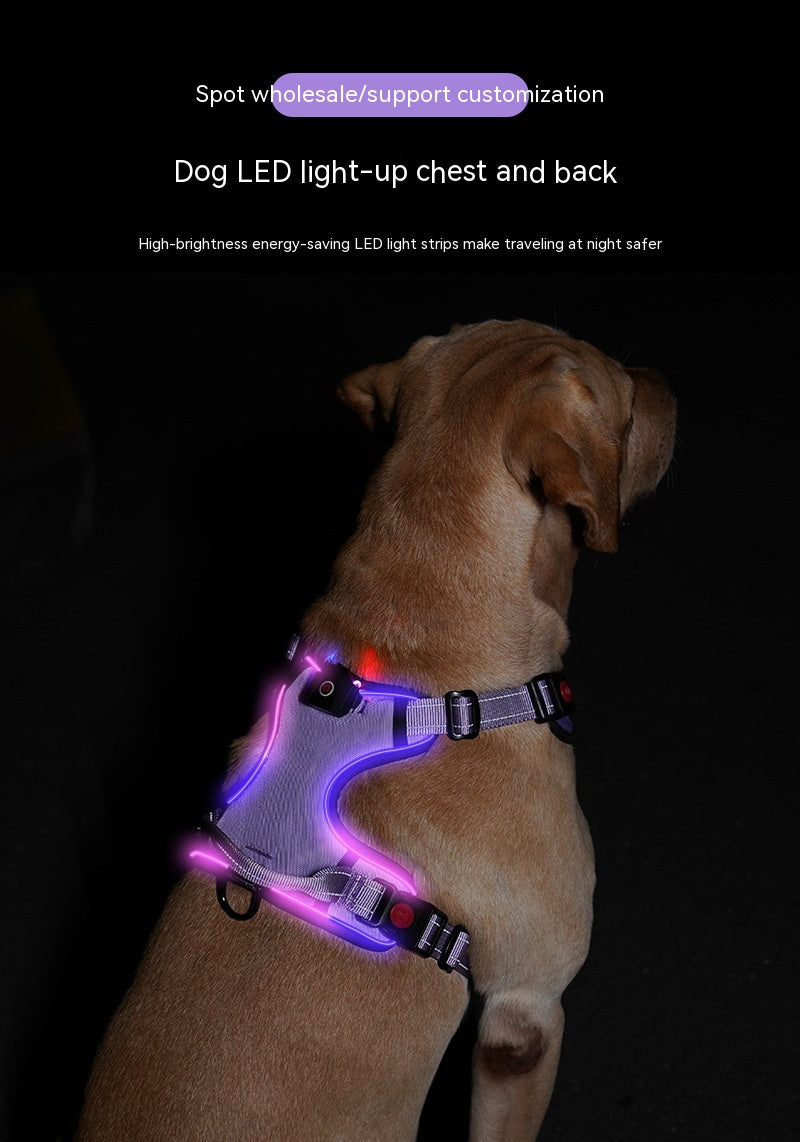 Bright LED Chest Strap – Your Pet's Nighttime Superpower