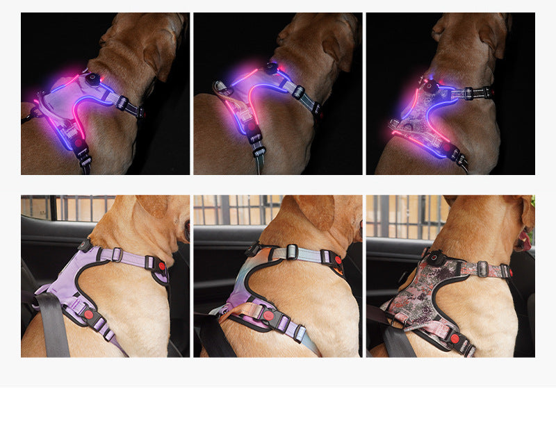 Bright LED Chest Strap – Your Pet's Nighttime Superpower