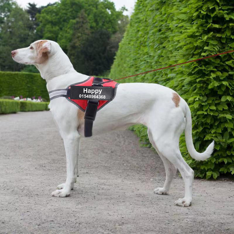 Breathable No-Pull Harness for All Sizes