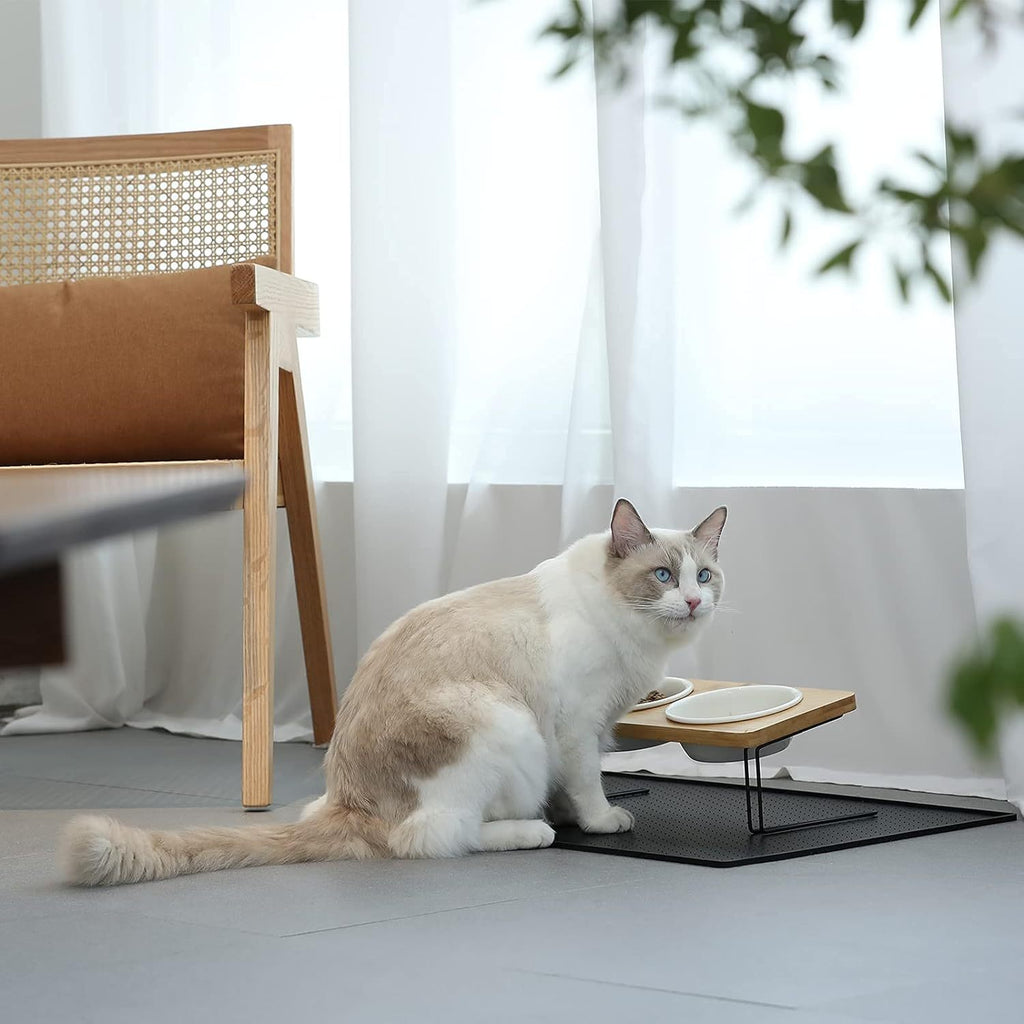Stylish Pet Bowl with Stand