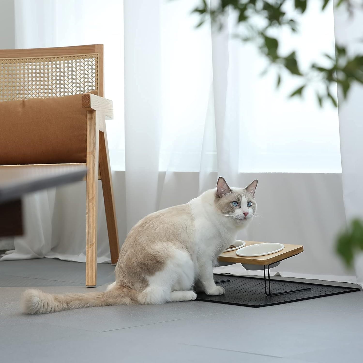 Stylish Pet Bowl with Stand