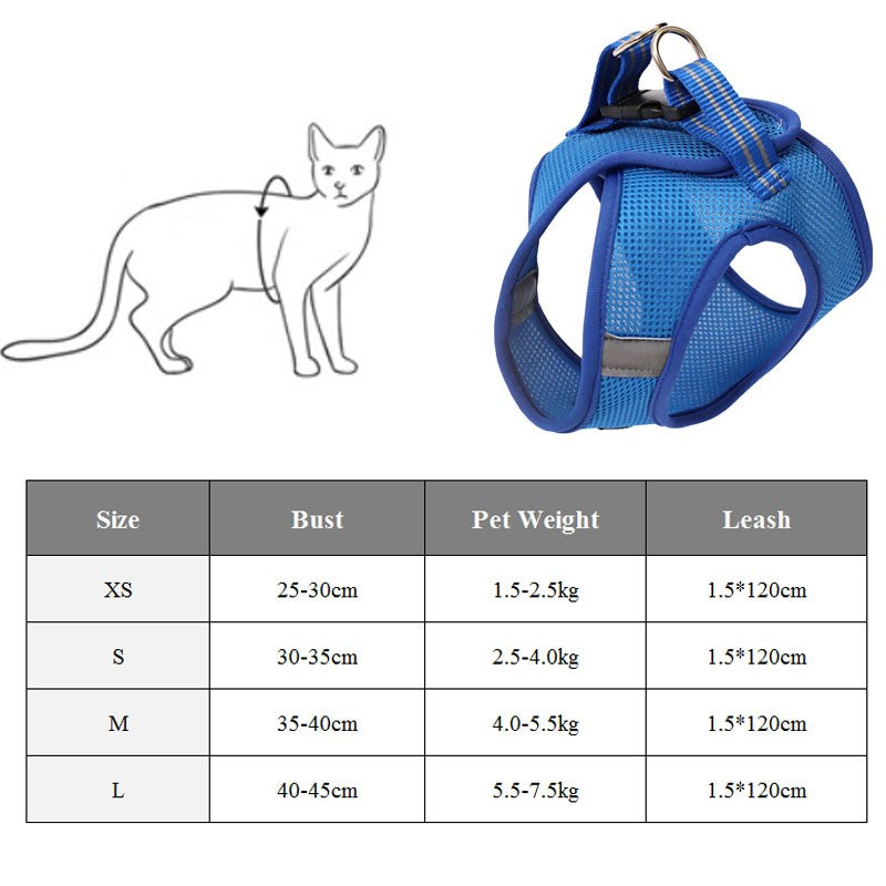 Paw-some Grip: Walk Your Kitty Scratch-Free