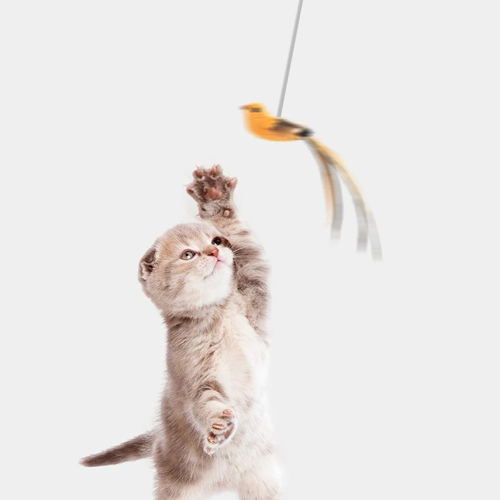 Lift-and-Play Toy for Your Cat Pal