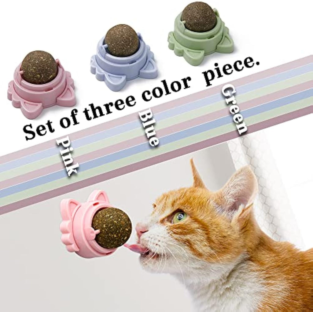 Healthy Stick-On Catnip Toys for Sparkly Smiles