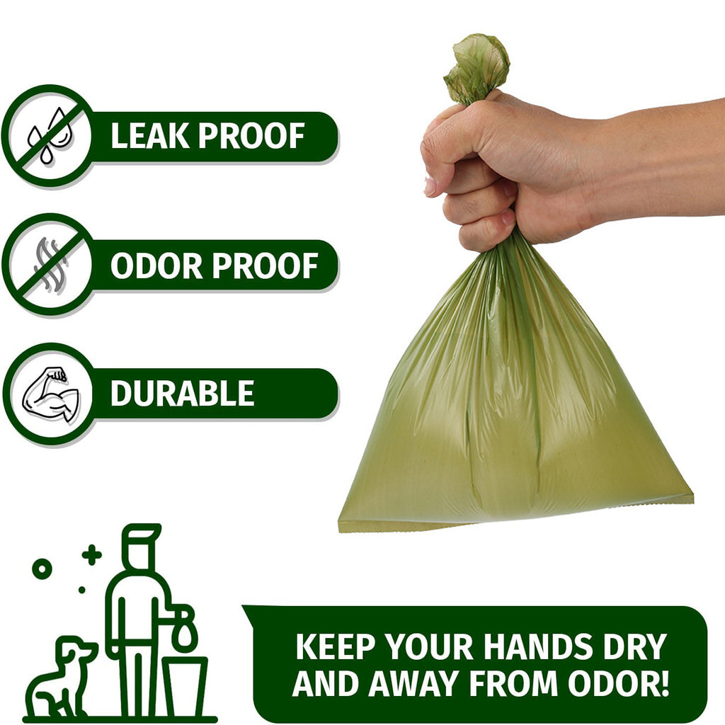 Leak-Proof Delight for Active Dog Friends