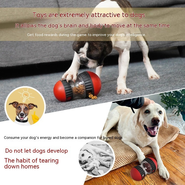 Interactive Dog Toy: Slow Feeding, Brain Boost