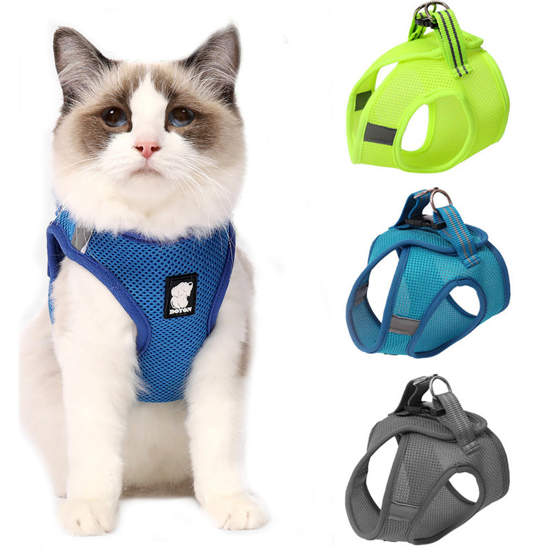 Paw-some Grip: Walk Your Kitty Scratch-Free