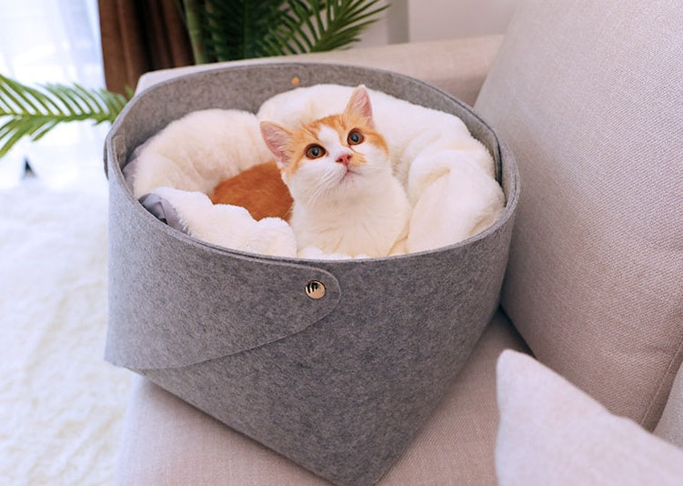 Cozy Snuggle Spot for Your Furry Bestie