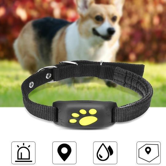 Find Your Pet Fast with GPS Tracker
