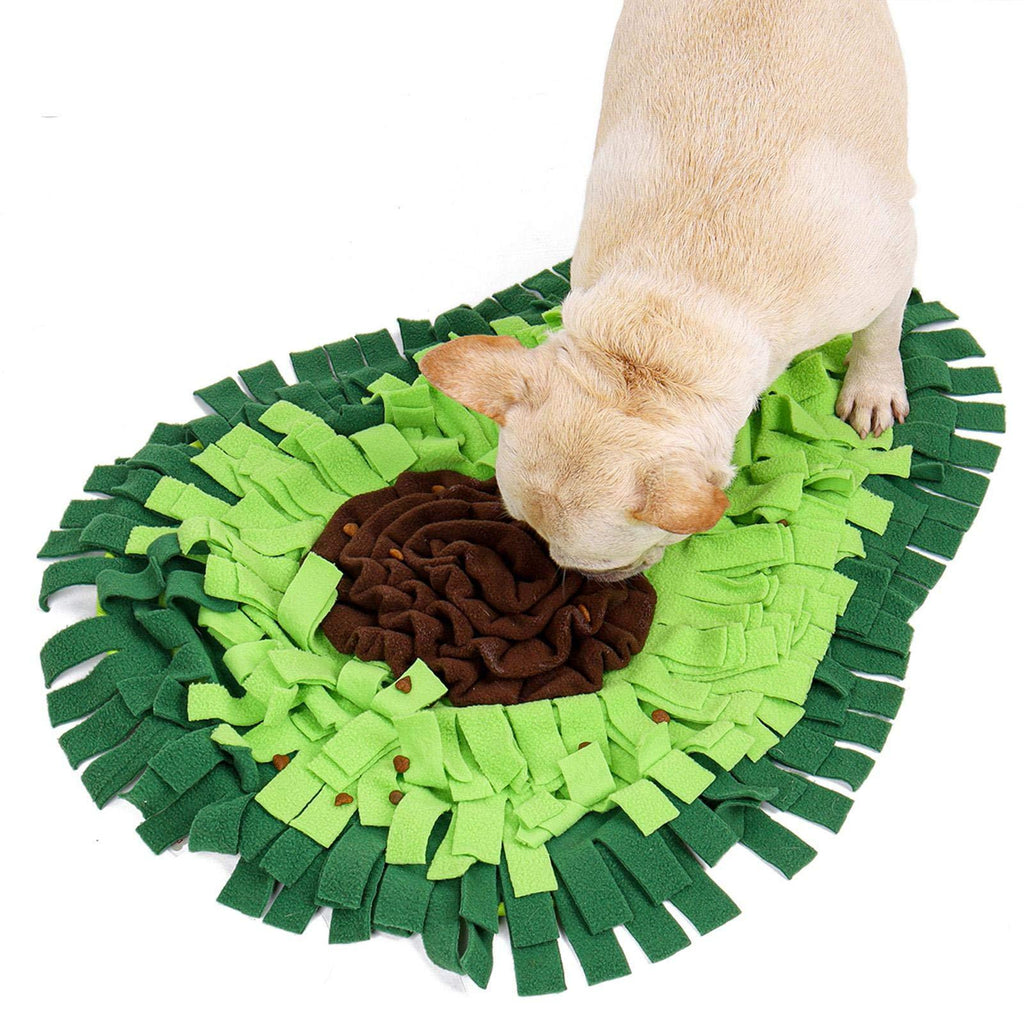 Sniff & Play Dog Training Mat