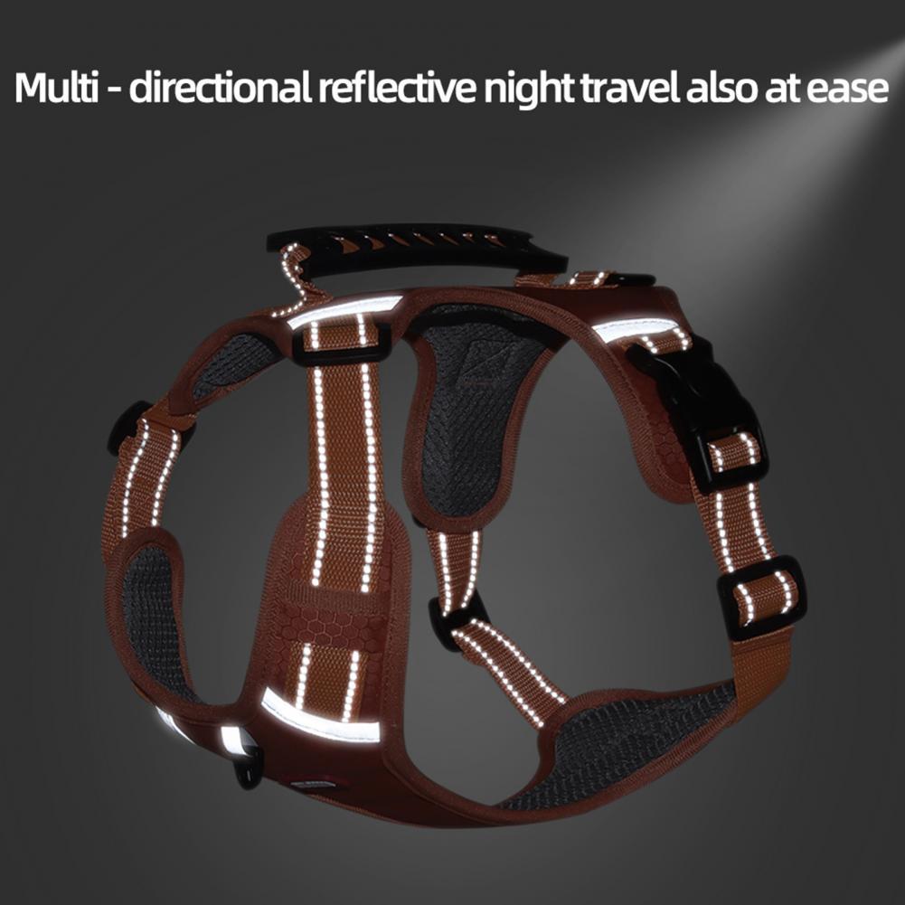 Durable No-Pull Harness for Outdoor Adventures