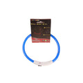 Neon Collar Delight for Energetic Pals