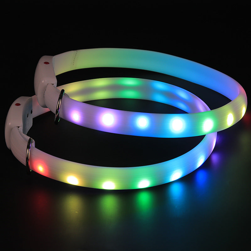 Luminous Joy for Lovable Dog Walks