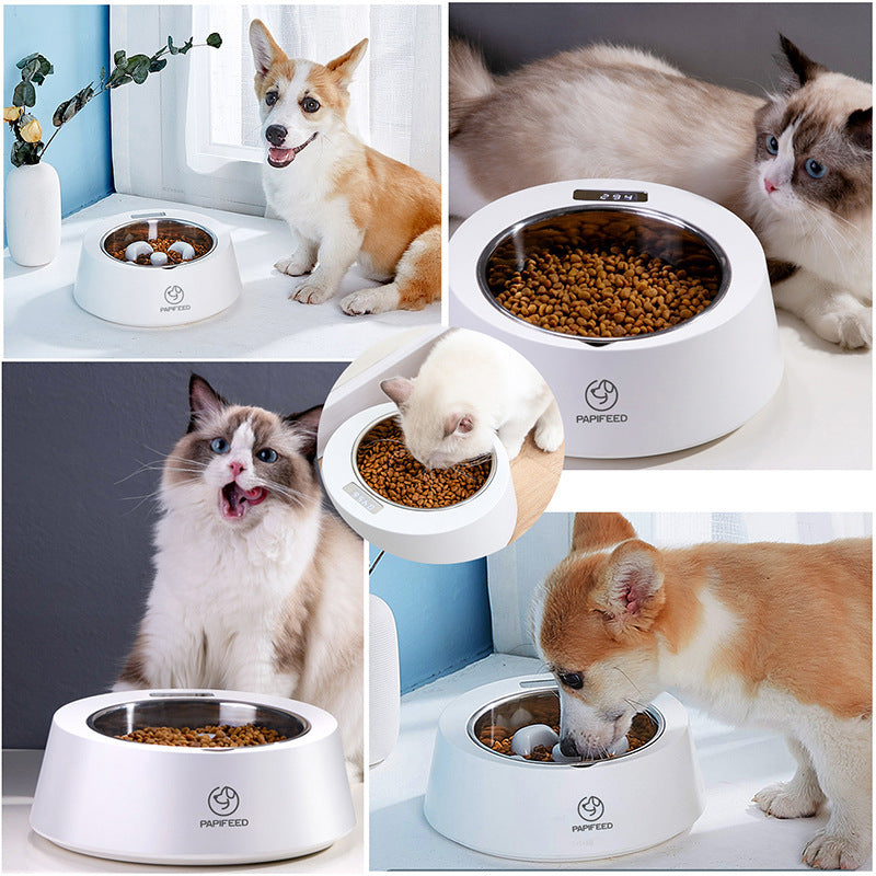 Dog & Cat Slow Feeder: Smart Weight Control