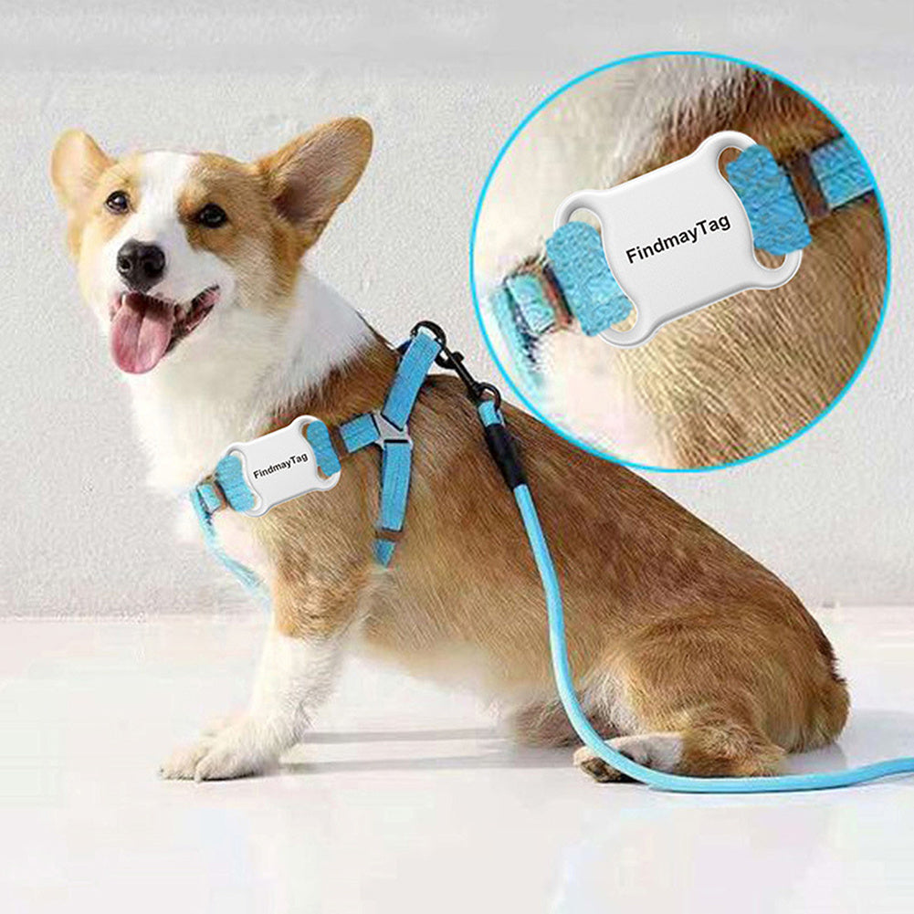 Pet GPS Tracker: Peace of Mind!