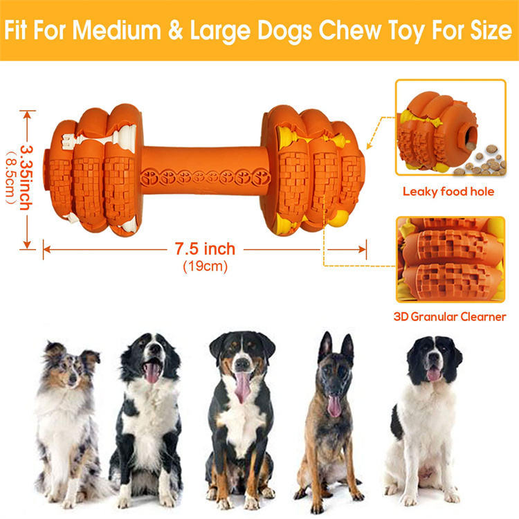Indestructible Fun for Your Power Chewer Pup