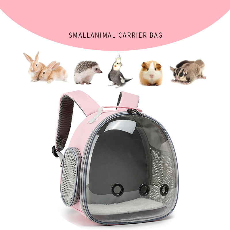 Pet Explorer Backpack: Transparent for Small Buddies!