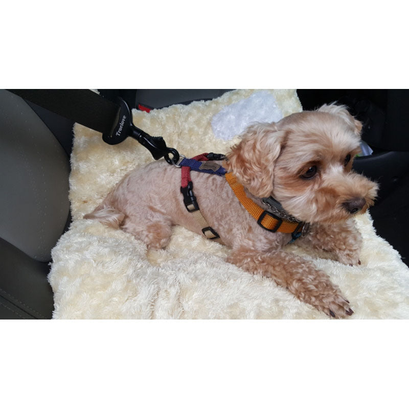 Ultimate Pet Car Safety Buckle: Travel with Confidence