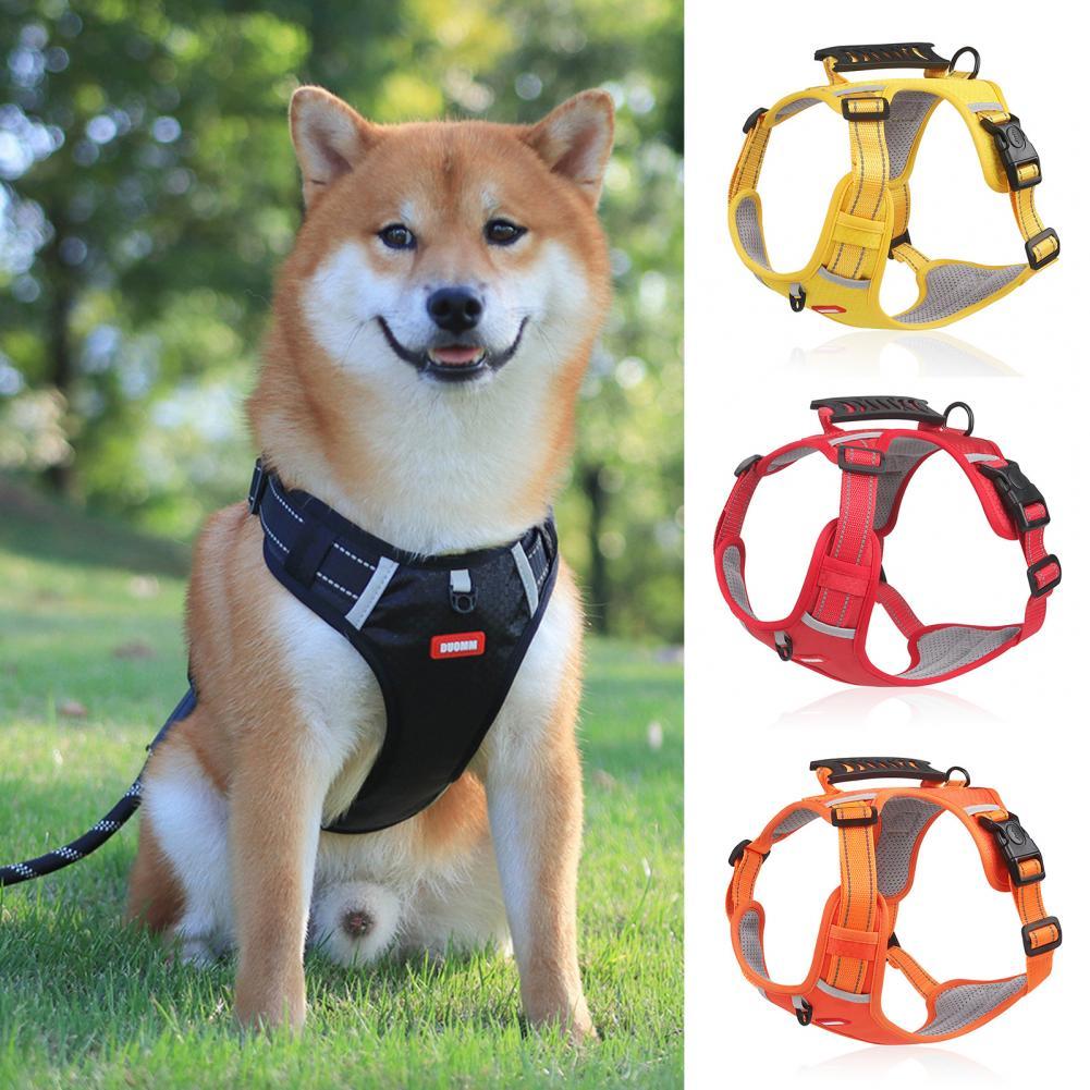 Durable No-Pull Harness for Outdoor Adventures